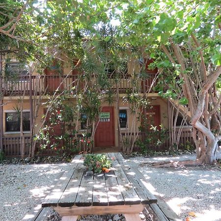 Ed & Ellen'S Lodgings Key Largo Motel Kültér fotó