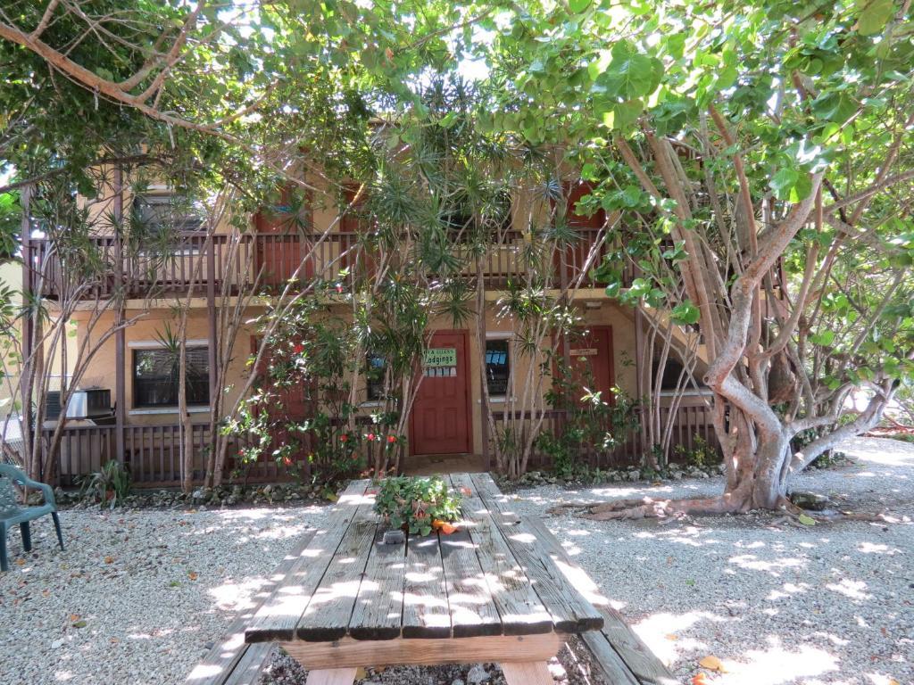 Ed & Ellen'S Lodgings Key Largo Motel Kültér fotó