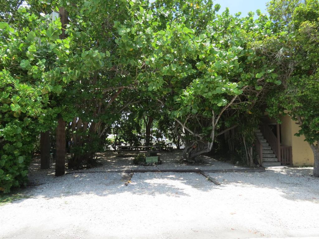 Ed & Ellen'S Lodgings Key Largo Motel Kültér fotó