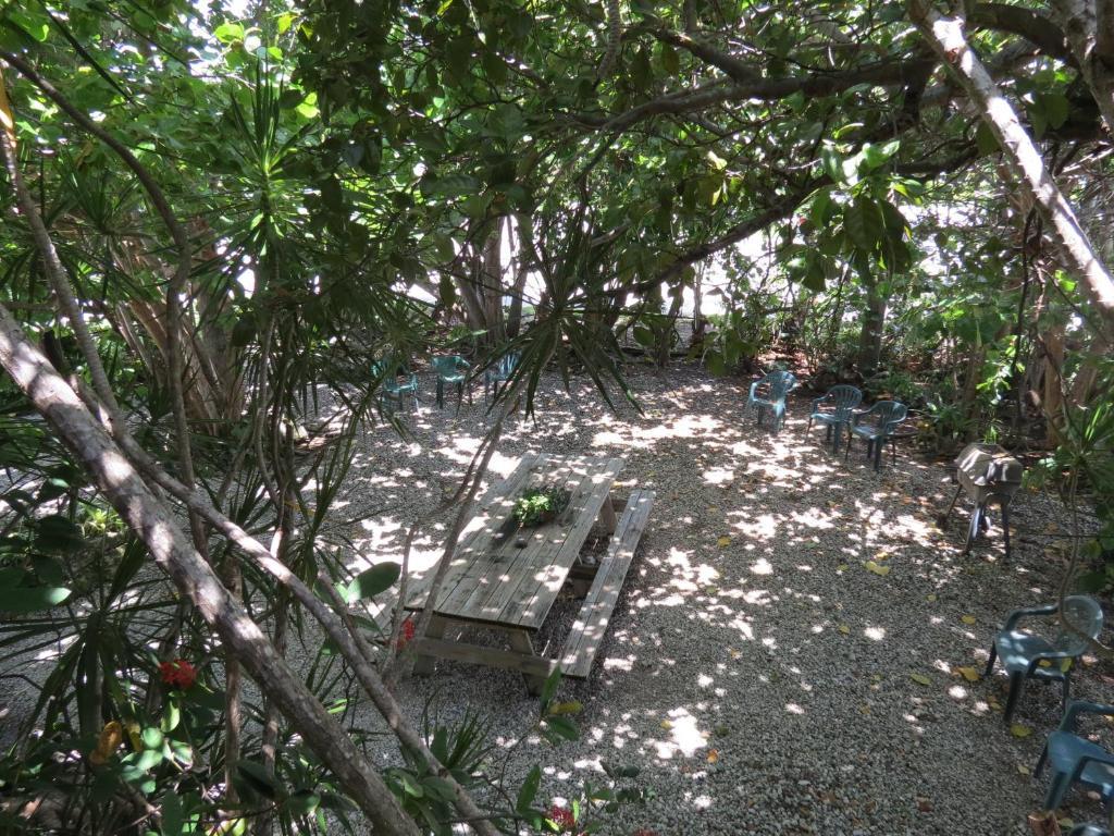 Ed & Ellen'S Lodgings Key Largo Motel Szoba fotó