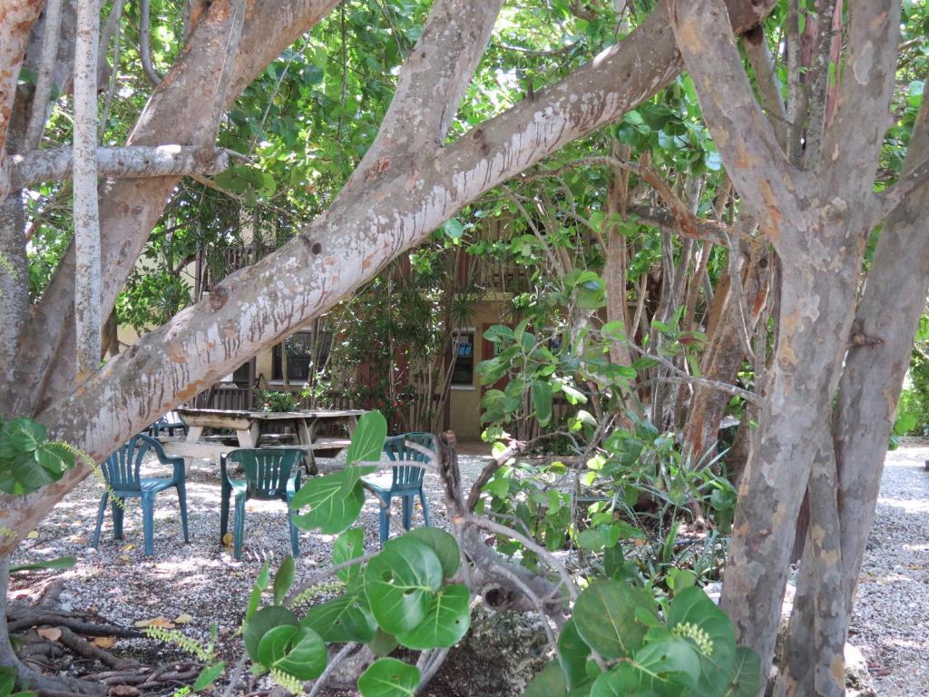 Ed & Ellen'S Lodgings Key Largo Motel Kültér fotó