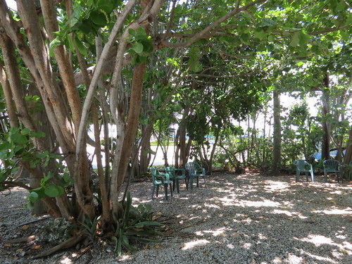 Ed & Ellen'S Lodgings Key Largo Motel Kültér fotó