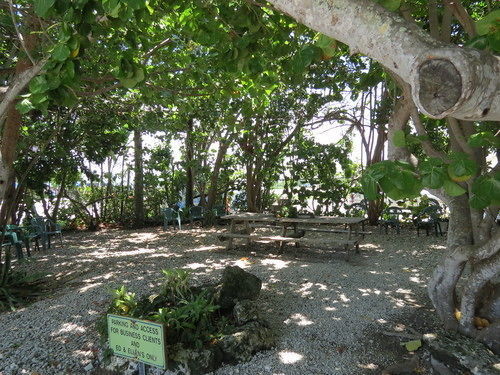 Ed & Ellen'S Lodgings Key Largo Motel Kültér fotó