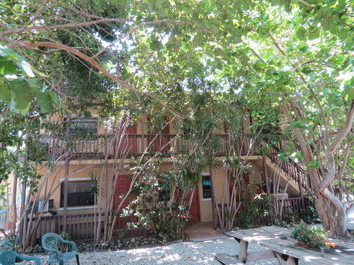 Ed & Ellen'S Lodgings Key Largo Motel Kültér fotó