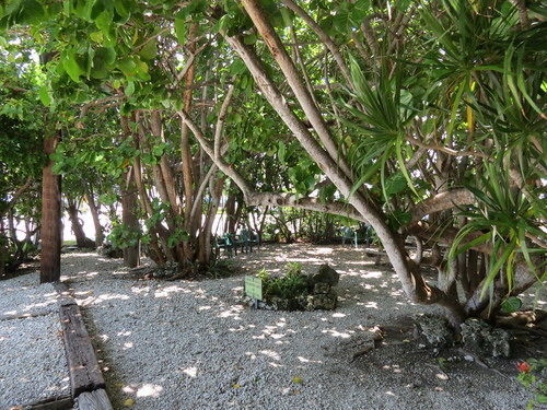 Ed & Ellen'S Lodgings Key Largo Motel Kültér fotó